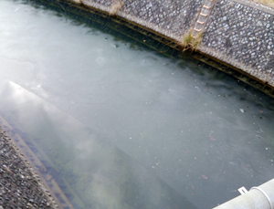 氷がはった川 氷がはった川