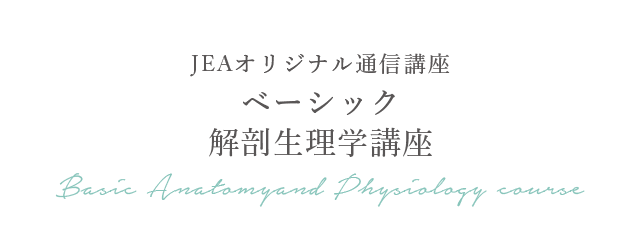 JEAオリジナル通信講座ベーシック解剖生理学講座 Basic Anatomy and Physiology course